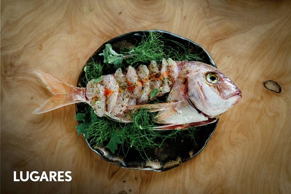 Pescado fresco del puerto de Mar del Plata listo para cocinar