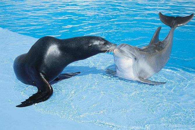 Acuario Mar del Plata animales