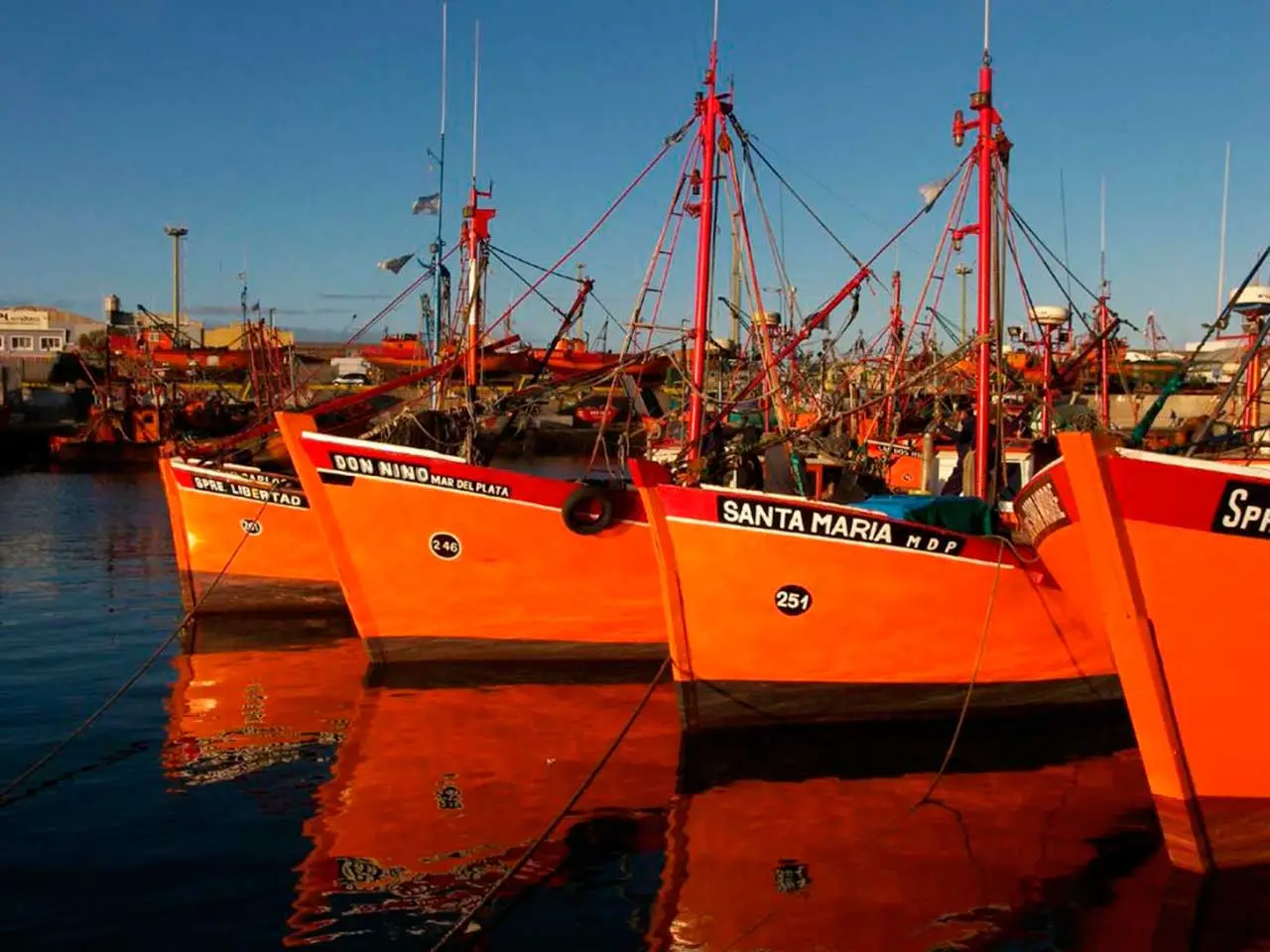 Embarcaciones Banquina Pescadores Mar del Plata