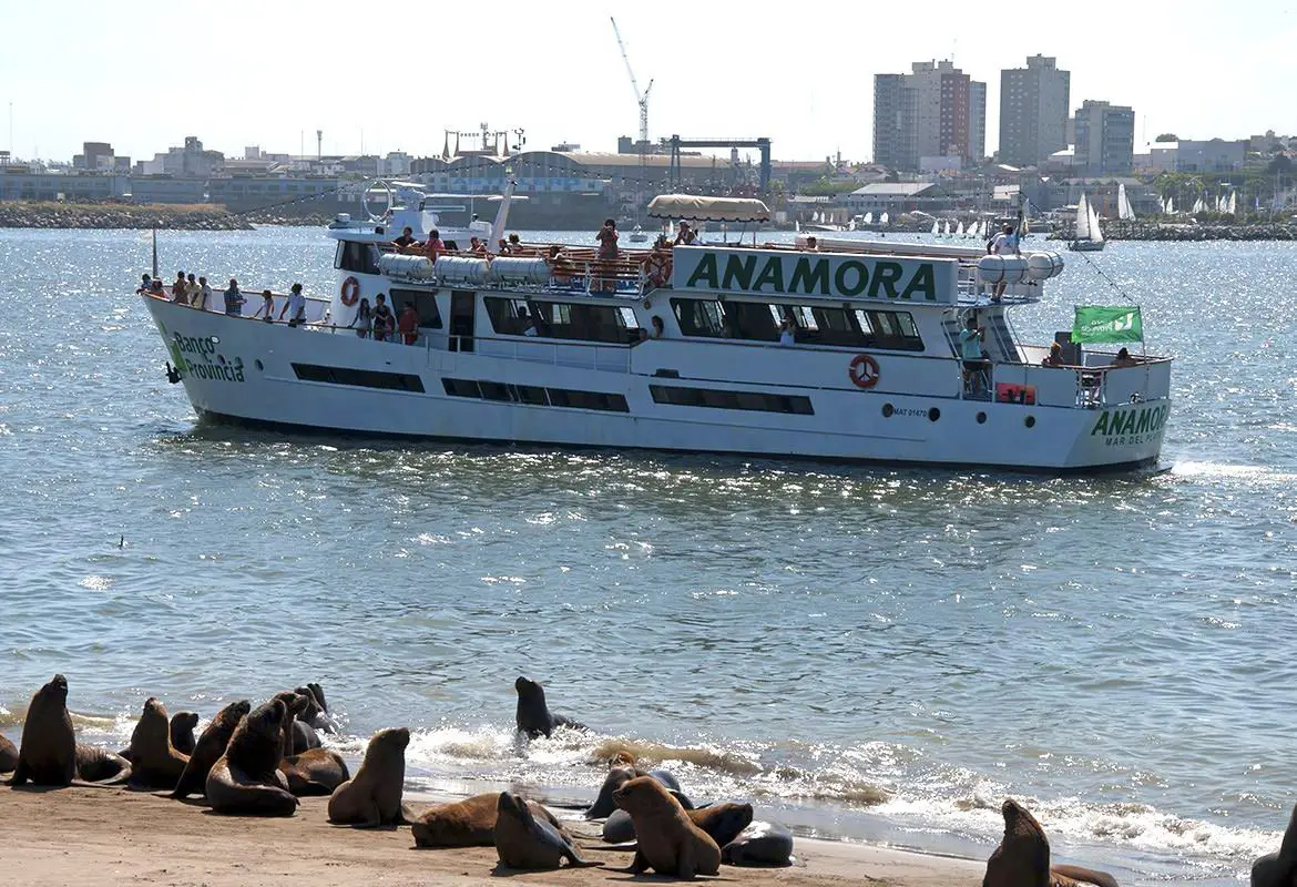 Excursión barco Mar del Plata consejos