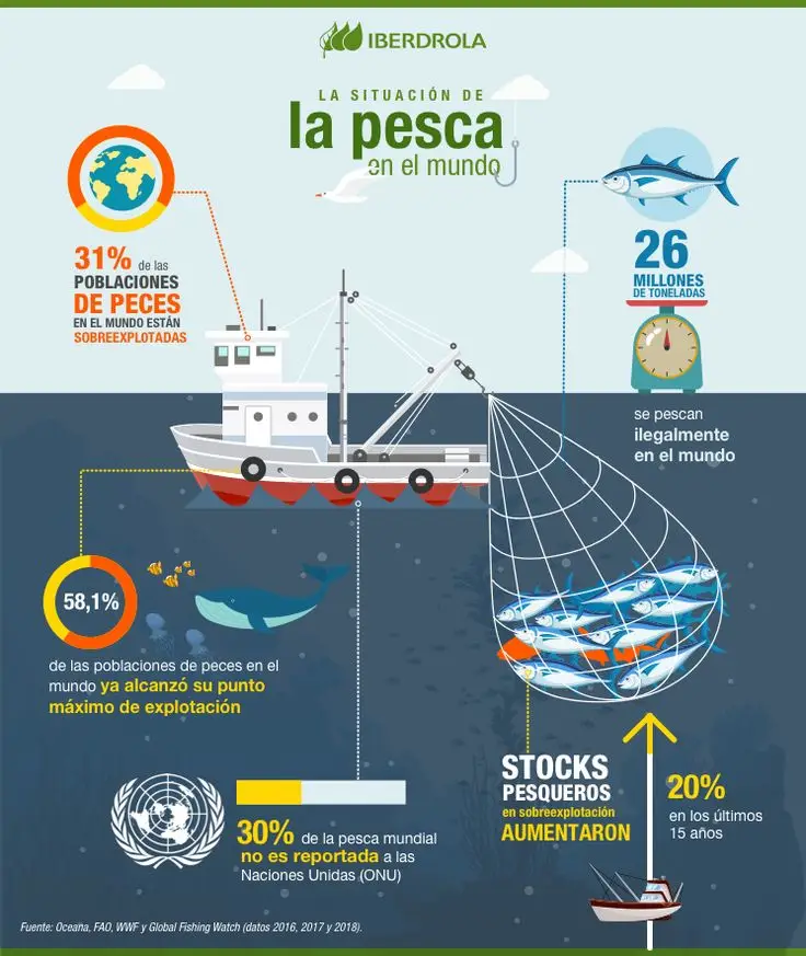 Impacto ambiental pesca